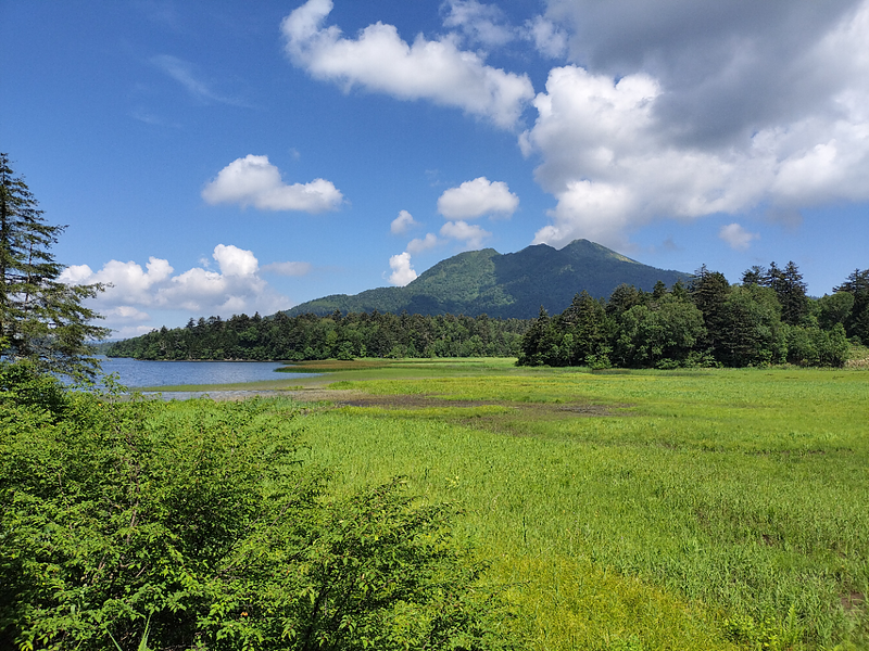 尾瀬沼と燧ヶ岳