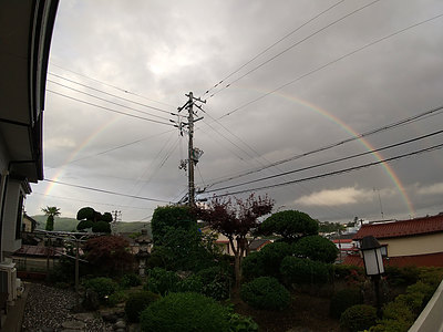雨降り後に庭から見えた綺麗な虹