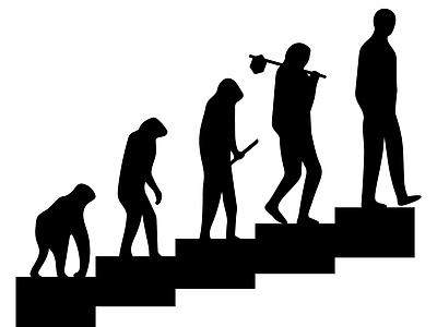 進化の階段