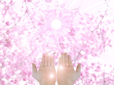 桜と両手