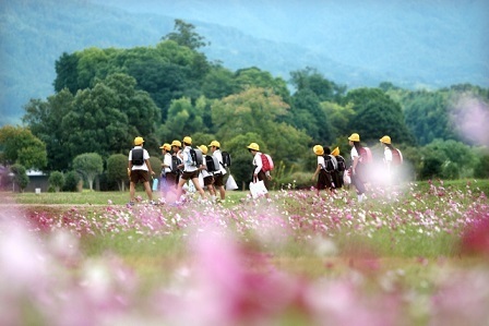 通学路