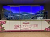 台風はどこへ行った～　めちゃめちゃ晴れた宮崎で会ったのは…