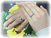 結婚指輪をご成約のお二人は、職場の先輩から紹介されて来られました。コラニーをご成約されるカップルが増えています。