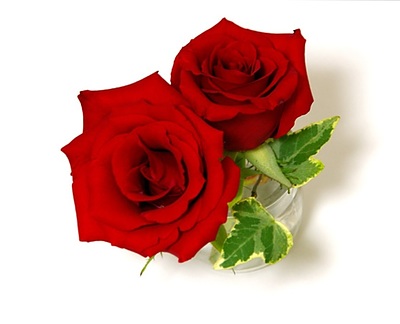 うつうつ　2026-3-20 ⑭