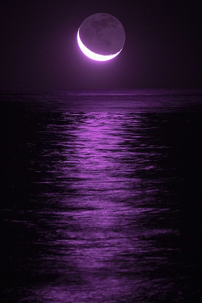 【自分本位】人間関係　2026-3-19 ⑮