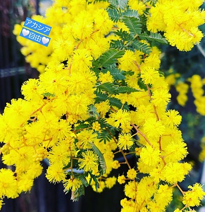 人間関係 26-04-09⑱【自由】