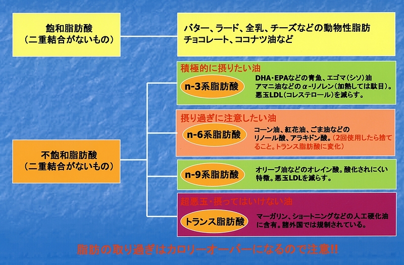 良い脂肪・悪い脂肪