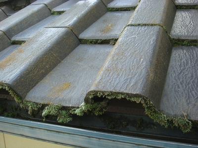 屋根瓦の高圧洗浄