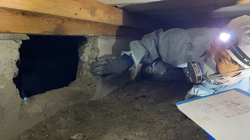 人通口を斫った跡