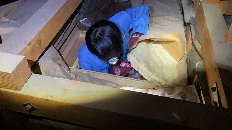 天井裏の調査終了