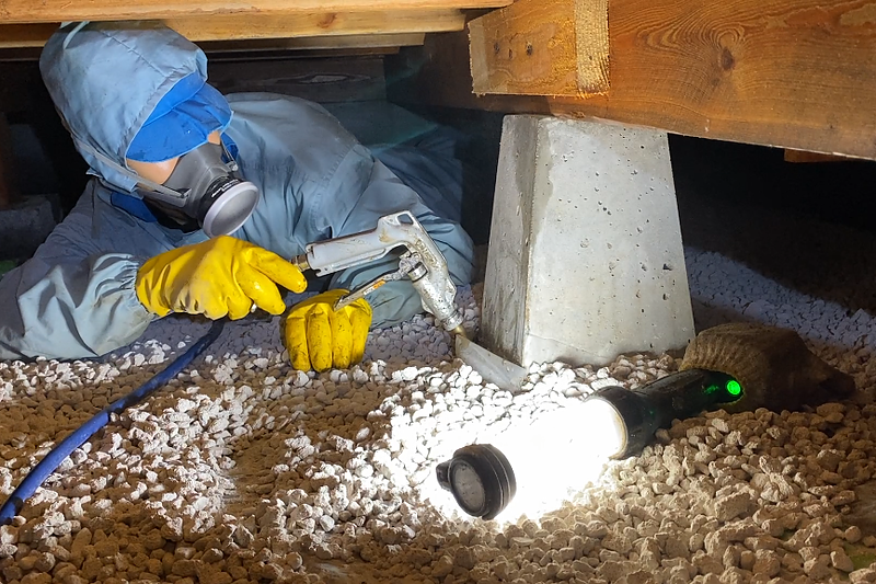 防蟻処理の様子