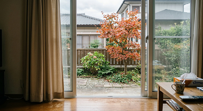 窓の外の紅葉を室内から眺めているシーン