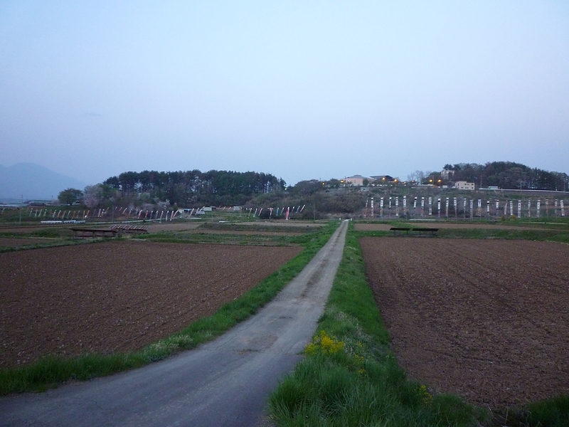 山部付近の鯉のぼり