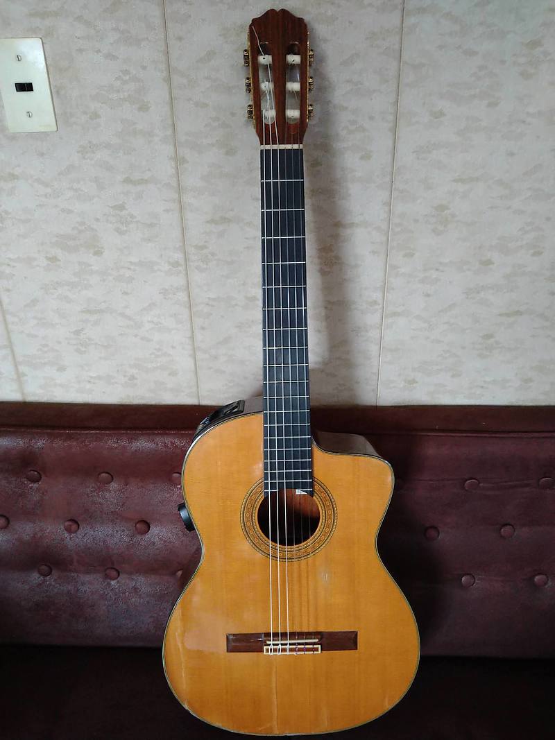 Takamine NPT-3TK