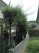 今日は長野で植木の撤去、ラティスの設置でした。