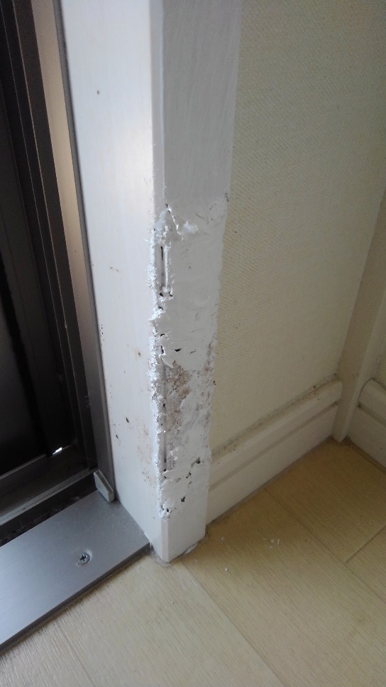 今日は長野で住宅ドア枠の犬ひっかき傷の補修 リペア修理でした インテリアコーディネーター 吉川智幸 マイベストプロ信州