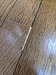 今日は長野で住宅無垢床フローリング剥がれの補修、リペアでした。