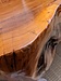 今日は長野で家具屋久杉の座卓打痕キズの補修、リペアでした。