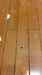 今日は長野でリフォーム店舗の床フローリングのキズ、穴の補修、リペアでした。