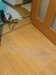 今日は長野で住宅床フローリングの扉擦れのキズ、剥がれ補修、リペアでした。