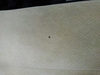 今日は長野で車のモケットシートのたばこ焦げ穴の補修、リペアでした。