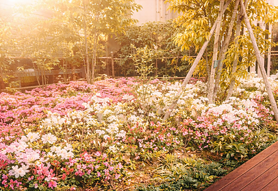 2026年版【春からの家計改善】収支の見極めとリズムづくり