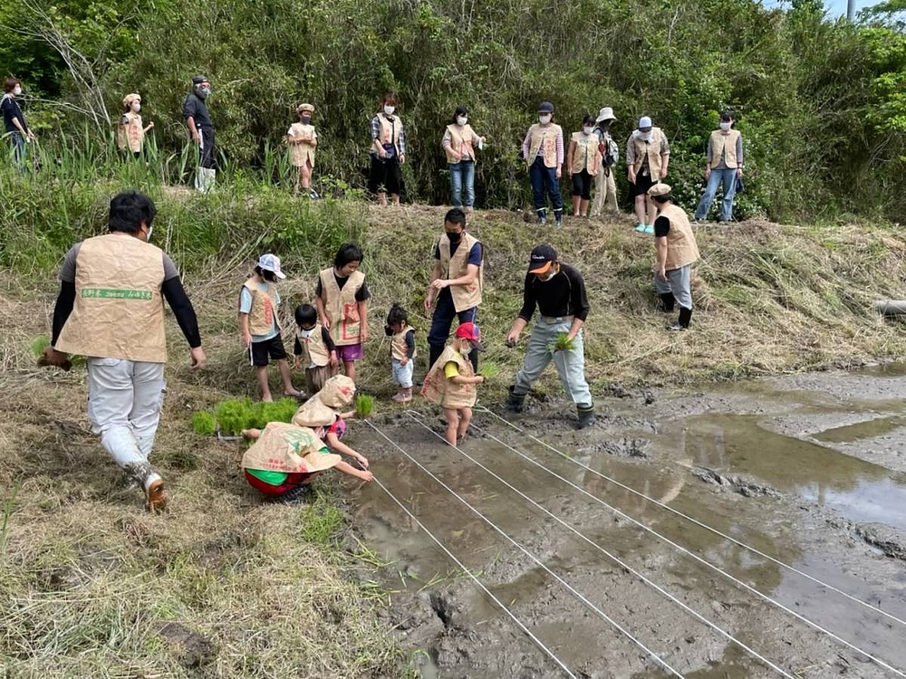 山本直紀 やまもとなおき