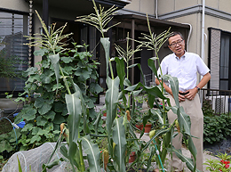 庭には実験用の野菜が植えられています