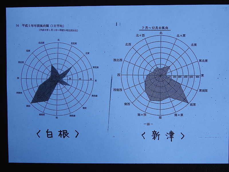 風向き