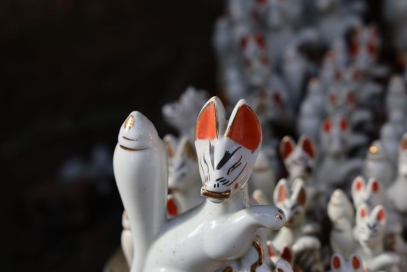 キツネのアップ1