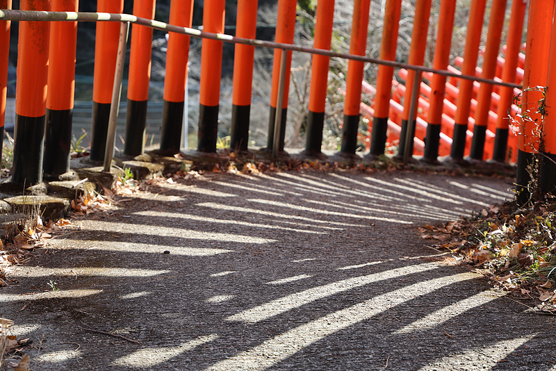 鳥居と陽ざし