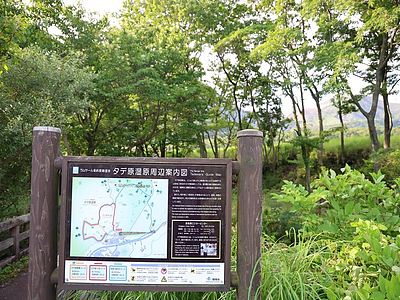 タデ原湿原を歩く