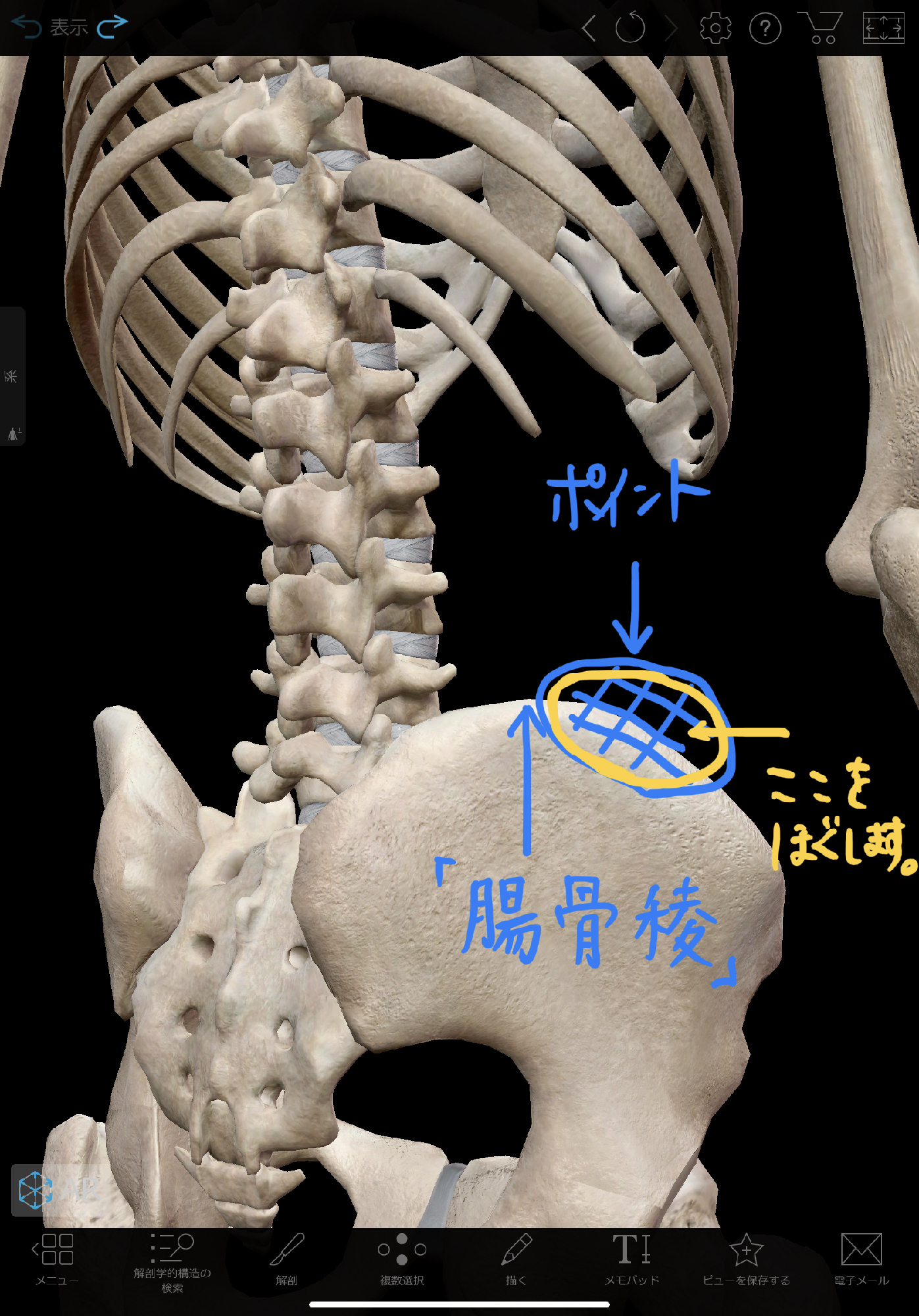 腰痛を改善する超かんたん 骨盤リリース 理学療法士 安部元隆 マイベストプロ大分