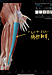 股関節の外張りを改善する方法