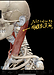 首を横に回す時の痛みを解消する「胸鎖乳突筋リリース」