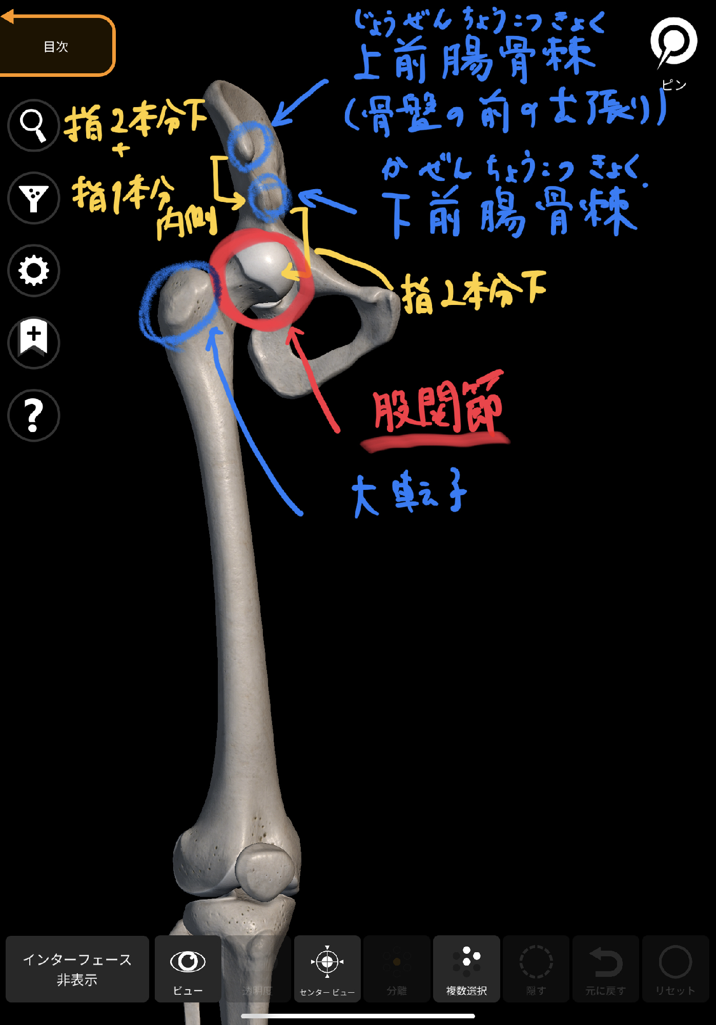 股関節のつまりを改善する 股関節リセット 理学療法士 安部元隆 マイベストプロ大分
