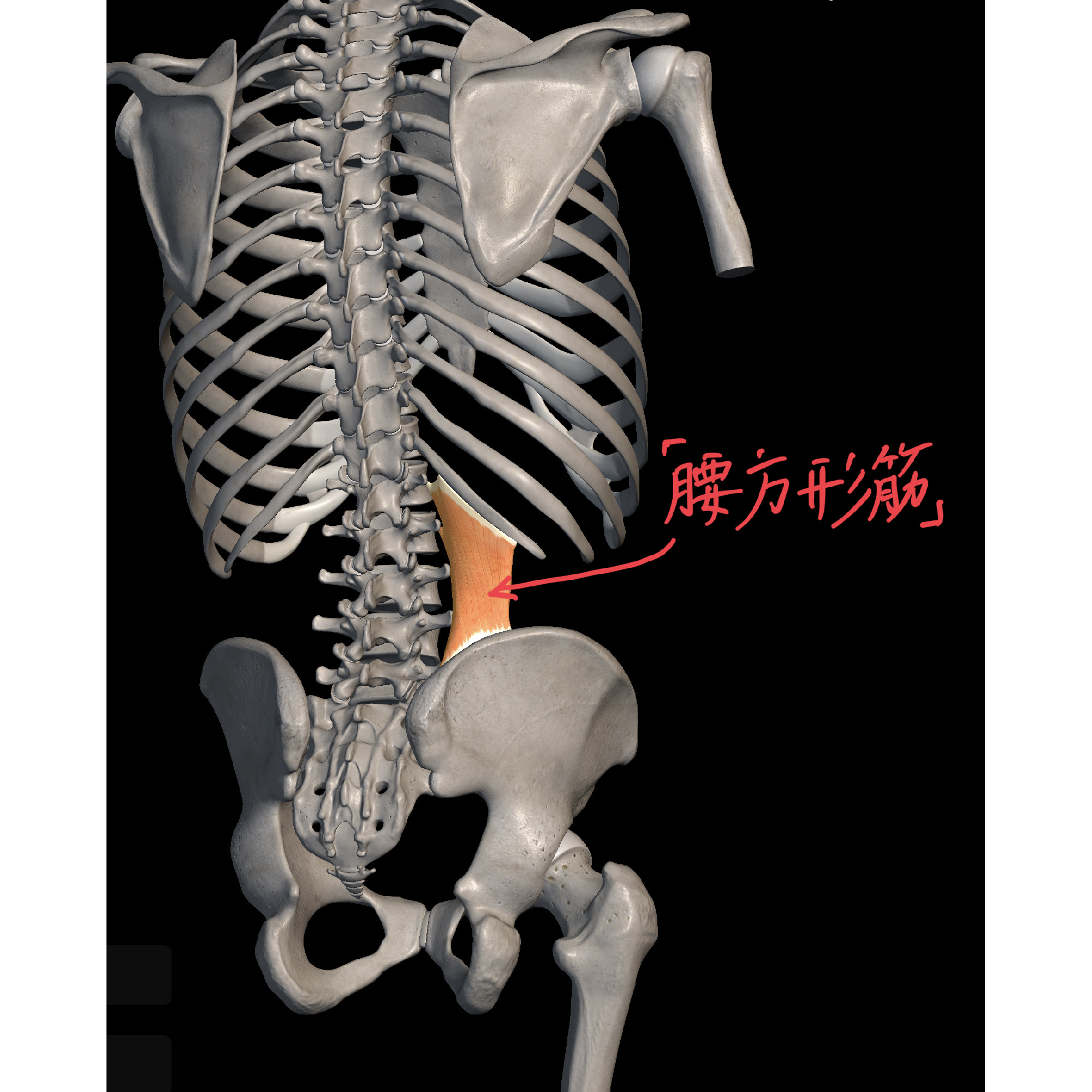 骨盤のズレは自分で改善 腰痛ケア 方法 理学療法士 安部元隆 マイベストプロ大分