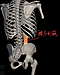 骨盤のズレは自分で改善、「腰痛ケア」方法