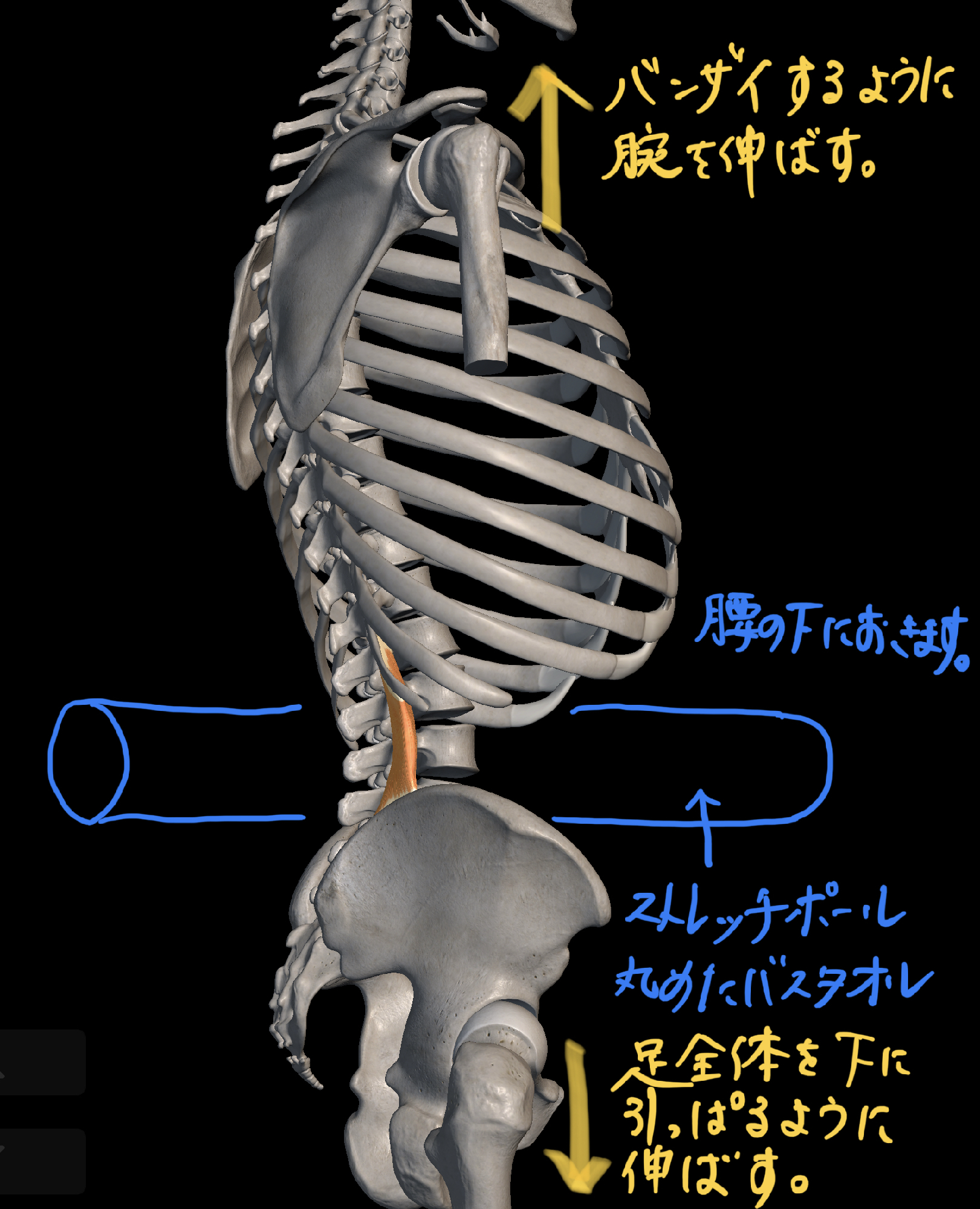 骨盤のズレは自分で改善 腰痛ケア 方法 理学療法士 安部元隆 マイベストプロ大分