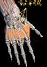 手や指の痛みやコリを解消する「背側骨間筋リリース」