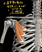 肩甲骨のつまりを解消し、肩の動きを開放する方法