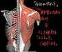 肩甲骨の内側の痛みを改善する、オススメストレッチがコレ。