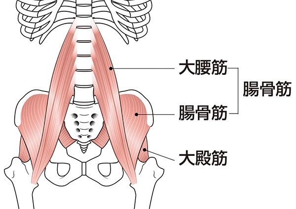 股関節の付け根の痛み 鼠径部の痛みを改善する 股関節エクササイズ 理学療法士 安部元隆 マイベストプロ大分