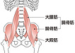 股関節の付け根の痛み、鼠径部の痛みを改善する「股関節エクササイズ」