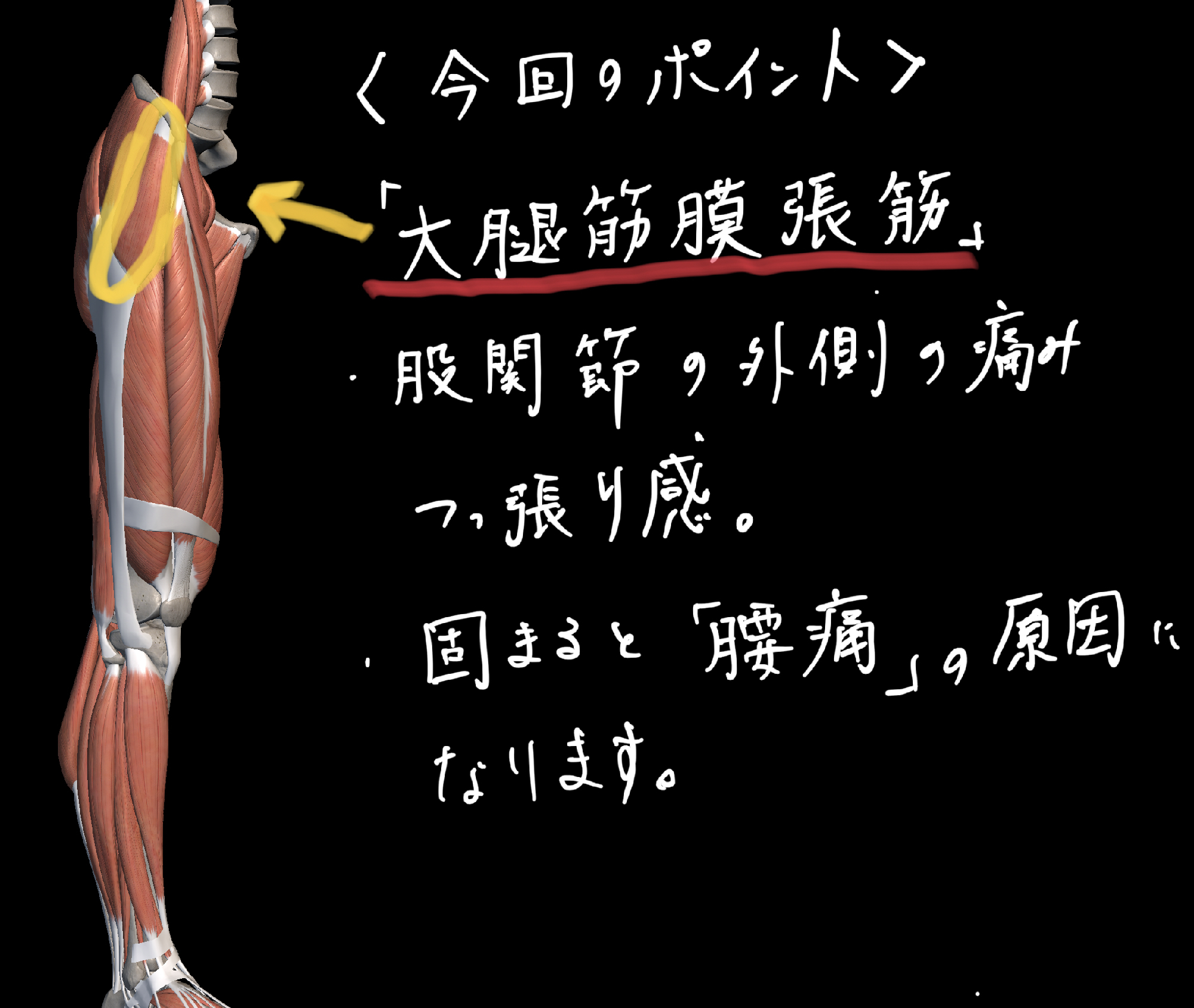 股関節の付け根が痛いを解消する マッサージポイント 理学療法士 安部元隆 マイベストプロ大分