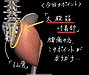 腰痛でお困りの方にオススメの「マッサージポイント」