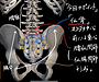 腰痛の原因の1つ、骨盤の歪みを改善する「仙骨リセット」
