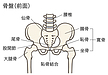 固まった骨盤・股関節を動きやねじりを改善する、オススメエクササイズ。