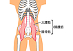 腰痛改善に必須。ここが固いと腰痛は改善しない...