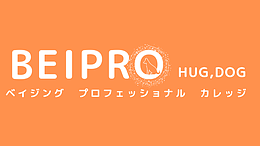 ベイジングオンラインカレッジ　ベイプロ